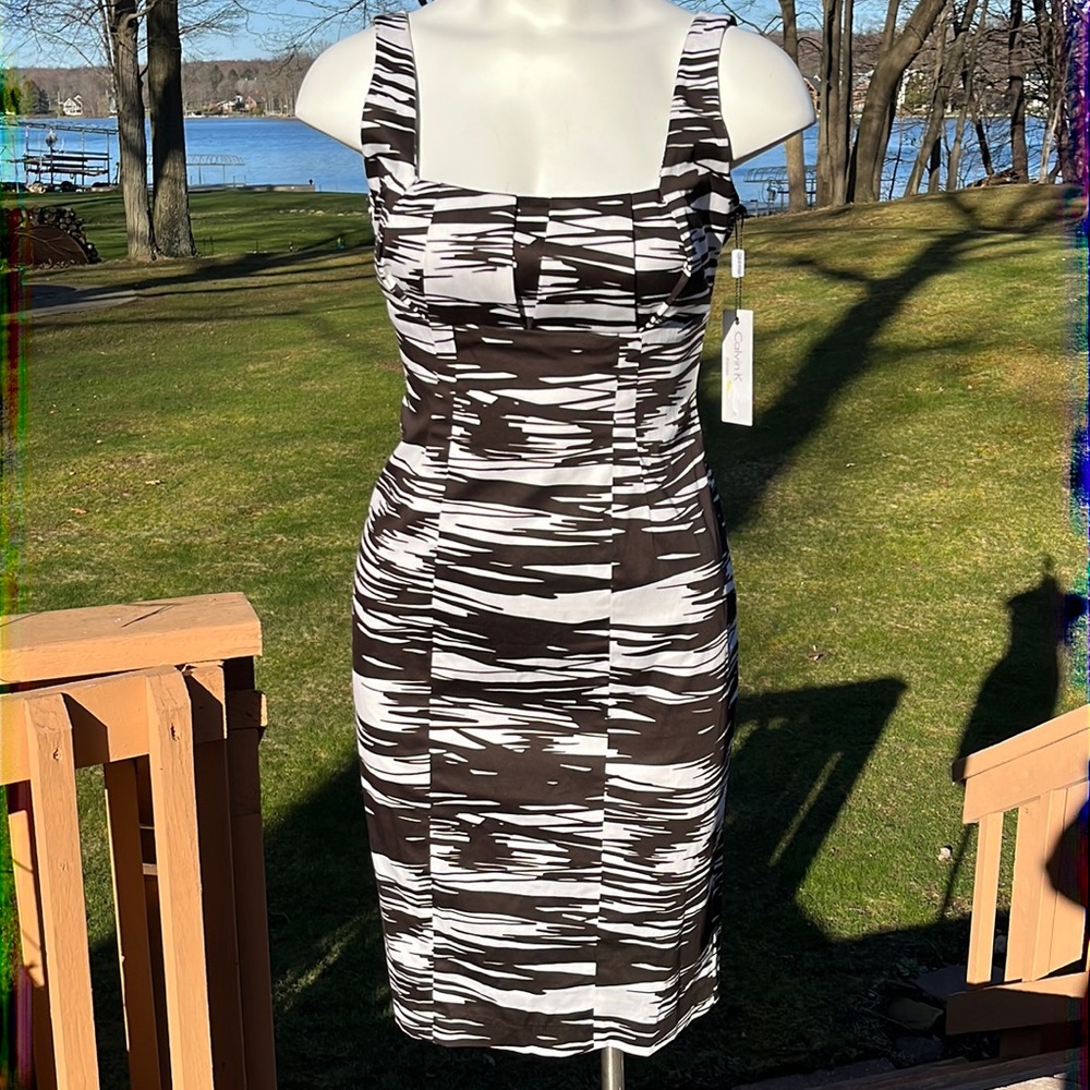 NWT Calvin Klein stunning bodycon dress 2-6
